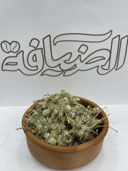 عصا الراعي